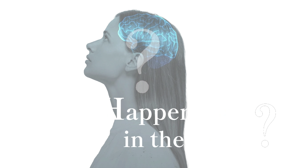 What's Happening in the Brain?