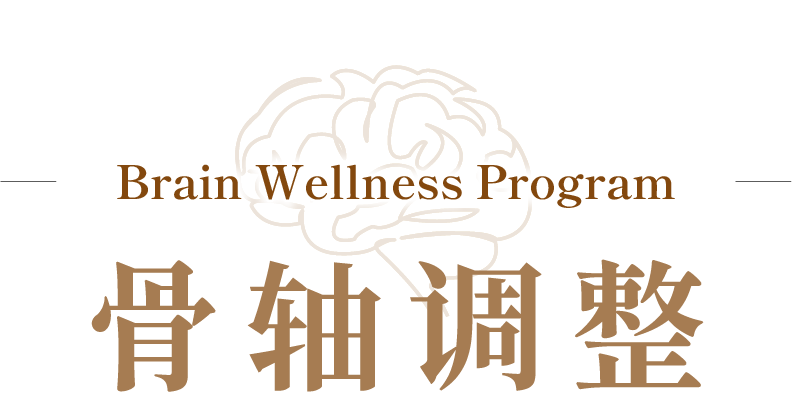 Brain wellness program 骨轴调整