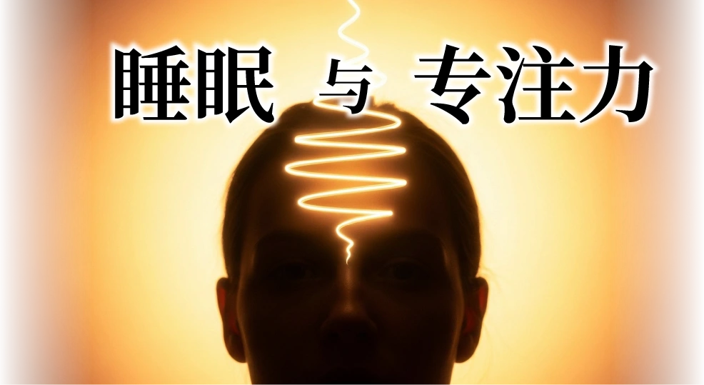 睡眠と集中力
